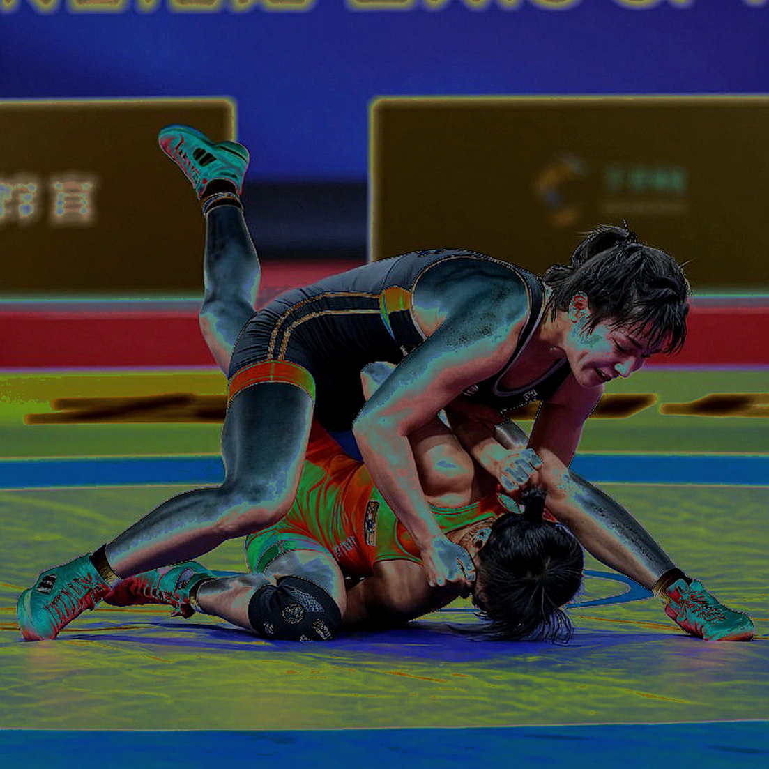 Eight Medals, Zero Gold: Indian Wrestling's Medal Table Is a Payroll Document Eight Medals, Zero Gold: Indian Wrestling's Medal Table Is a Payroll Document